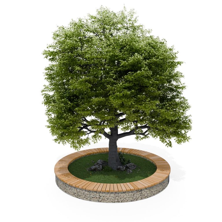 Vue 3D banc gabion circulaire 5m autour d'un arbre
